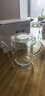 斌能达玻璃泡茶壶红茶茶具泡茶器绿茶功夫过滤杯加厚家用办公室茶水分离冲茶壶大号 420ML透明把单壶 实拍图