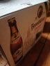 百帝王（Benediktiner）小麦白啤酒 修道院 500ml*12瓶 整箱装 德国原装进口 春日出游 实拍图