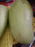 三萌果蔬（顺丰可选）金煌芒果 现摘新鲜甜芒果凯·特芒一级芒果孕妇水果 5斤 精选大果 实拍图