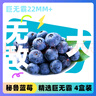 京鲜生 进口秘鲁蓝莓巨无霸22mm+ 4盒装125g/盒 新鲜水果 源头直发 包邮 实拍图