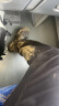 迪卡侬（DECATHLON）徒步鞋户外登山鞋防水防滑运动鞋透气徒步鞋子ODS MH100低帮 女款-蓝灰色（新老款随机发货） 37 晒单实拍图