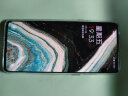一加 OnePlus 9R  骁龙870 120Hz柔性屏 4800万后置四摄 二手95新手机 9R蓝屿 95新8+256 实拍图