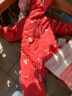 童泰秋冬婴儿衣服对开棉立领套装0-3岁宝宝棉服 粉色 73cm 实拍图