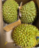 京鲜生 泰国进口金枕头榴莲 2-2.5kg 1个装 新鲜水果 实拍图