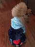 宠物圈（PETCIRCLE）秋季冬季狗狗衣服泰迪衣服宠物服饰狗衣服宠物泰迪狗狗衣服小型犬 爱心款蓝色 M适合背长33CM胸围45CM重8-10斤 实拍图