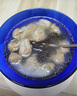郑森记正宗肉燕福州小吃手工太平肉燕馄饨云吞速食扁肉水饺中华老字号 太平肉燕275g*3 实拍图