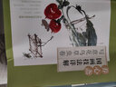 养心斋国画技法详解-写意花鸟草虫卷 晒单实拍图