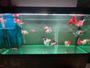 马印马印神灯龙鱼灯专用水族箱灯三基色增色灯水草鱼缸灯 led灯防水 马印增艳神灯PLUS(172CM-(53W)) 实拍图