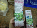 恬上心台湾高山茶正宗冻顶乌龙茶进口梨山高冷茶杉林溪浓香型阿里山茶叶 阿里山奶香鲜爽 150g*1袋 150克 实拍图