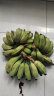时寐广西正宗苹果蕉新鲜整箱当季水果芭蕉粉蕉自然熟香甜香蕉 9斤 家庭分享（购买率90％） 晒单实拍图