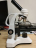 Pentaflex学生显微镜儿童生物2000倍放大 儿童科学实验室观察 标配+130W电子目镜 实拍图