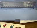悟生一日之用笔盒小学生专用铅笔盒幼儿园一年级儿童男孩款文具盒高颜值创意简约笔袋女生文具开学白色 实拍图