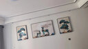 Sixpoetry 客厅装饰画现代简约沙发背景墙壁画轻奢三联晶瓷画大气高档挂画 福禄金树（铝合金外框） 镶钻画左右60*80+中间120*80亮面 实拍图