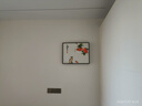 柳莺花燕免打孔电表箱装饰画现代简约客厅餐厅挂画电闸箱配电箱遮挡壁画 事事如意 50X40遮挡40X30 液压款 实拍图