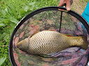 梦者黑糖小药 鱼饵添加剂野钓黑坑鲫鲤鱼小药 高浓度诱食促食剂 原味黑糖250ml【2瓶包邮】 实拍图