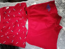 恒源祥儿童内裤男童本命年大红裤平角裤中大童学生鸿运四角裤3条装 男童大白鲨 165建议身高155-165体重75-85斤 实拍图