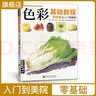 《色彩基础教程》少儿童水粉画零基础入门个体静物调色彩书中国美院名师教你画色彩经典全集杨建飞主编 实拍图