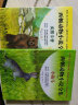 现货西顿动物小说全集西顿动物记第2版全8册儿童图书小战马狼王洛波西顿动物小说 晒单实拍图