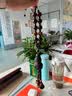 宝佩 高档车载汽车挂件桃木葫芦龙行天下车挂车载木质礼品生日礼物 实拍图
