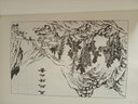 芥子园画谱 白话文版无删减芥子园画传王概著巢勋临本国画临摹画册山水画谱工笔画技法写意画入门工具教程书 实拍图