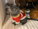 华元宠具（hoopet）猫咪衣服过年喜庆唐装猫猫冬季保暖衣小猫衣服新年拜年舞狮服装 恭喜发财舞狮唐装 L：根据图片尺寸选择 实拍图