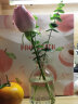掬涵 小型复古玻璃器皿欧式花瓶花器透明干花插花水培客厅装饰摆件 E（6.2*12.6cm） 实拍图