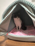 华元宠具狗窝冬天保暖小型犬狗房子封闭式宠物狗狗床猫窝帐篷四季通用室内 狗窝猫房子+双层加厚毛毯 L：56*51*51 建议30斤内 实拍图