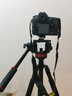 曼富图（Manfrotto） MVH502AH 专业双向液压云台观鸟摄影摄像滑轨云台单反相机摄像机视频短片vlog把手云台 实拍图