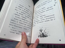 罗尔德·达尔作品典藏·詹姆斯与大仙桃   7-10岁 小学一年级二年级课外阅读 儿童文学 儿童礼物男孩女孩 京东618 暑假阅读书单 实拍图