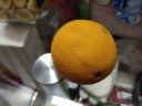 京鲜生 中华红橙 4.5-5斤装 果径65-70mm 新鲜水果  绿色食品 源头直发  实拍图