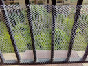 九千谷阳台防护网 垫板网防漏隔断安全护栏网白色0.8孔50cm宽3m长4374 实拍图