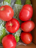 禾人西红柿 番茄 新鲜蔬菜 炒菜 500g 禾人 实拍图