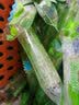 沁霖沁霖老式薄荷棍薄荷糖老师随身硬糖薄荷棍8090儿时四川成都 500g 实拍图
