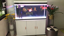 闽江（minjiang）鱼缸水族箱家用屏风生态造景中大型金龙鱼缸客厅免换水鱼缸 纯洁白色（养鱼礼包） 长120.6*宽36.7*高139(缸体+底柜) 实拍图
