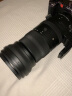 适马（SIGMA）150-600mm F5-6.3 DG DN OS ｜Sports 全画幅无反 超远摄变焦镜头  打鸟拍荷花（L卡口） 实拍图