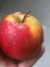 新西兰进口小苹果筒装礼盒红玫瑰苹果进口水果 5桶 晒单实拍图