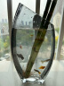 墨斗鱼玻璃花瓶北欧风轻奢花瓶摆件富贵竹玫瑰百合桌面花器创意几何7796 实拍图