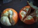 湖南正宗纽荷尔脐橙当季水果 带箱5斤60-65mm 晒单实拍图