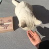 爪子心选（PETCHOICE）猫咪零食冻干宠物狗狗鸡胸肉多春鱼三文鱼干鸭肉牛肝蛋黄 鸡胸肉冻干50g（限时买1送1） 实拍图