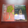 瑜伽之光+瑜伽之树+瑜伽的艺术（套装全3册）艾扬格瑜伽经典，瑜伽入门必读书 实拍图