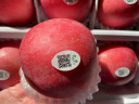 君恬果园烟台栖霞红富士苹果节日礼盒礼品新鲜水果约3KG果径92mm+超大果 实拍图