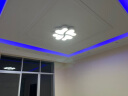 灵翔之光卧室灯吸顶灯无极遥控led灯具温馨简约现代薄家用房间灯2025新款 花瓣 直径55cm  32w三色 实拍图