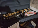 美音天使 降E调中音萨克斯风乐器 初学者入门考级萨克斯送教程哨片背带 M22经典考级-黑雕花【双筋配置】 实拍图