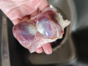 温氏鸭胗1kg 冷冻生鲜鸭胗 鸭肫卤鸭麻辣鸭肉卤味烧烤火锅食材 实拍图