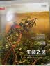 生命之灵：国际野生生物摄影年赛55年精选（自然之美，当摄影遇上自然，用光影绘出生命之灵！中国野生动物摄影训练营指定参考书，大卫·爱登堡、奚志农、袁明辉推荐） 实拍图