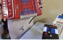 NEW CLASSIC TOYS儿童手风琴初学乐器玩具 早教音乐启蒙玩具可弹奏男女孩生日礼物 红色 7键2贝斯【3岁以上】 晒单实拍图
