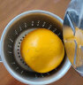 迪普尔手动榨汁机橙汁挤压器不锈钢家用水果小型橙子压柠檬榨汁神器 实拍图