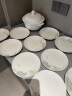 浩雅景德镇碗碟套装陶瓷餐具套装碗盘子饭碗碟盘餐具套装 24头春之意 实拍图