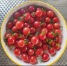 京鲜生 釜山88 爆汁圣女果  1KG装 小番茄 新鲜 生鲜水果 实拍图