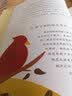 列那狐的故事 国际大奖儿童文学 精装(国际大师美绘 我爱童话 珍藏版）智慧熊图书 实拍图